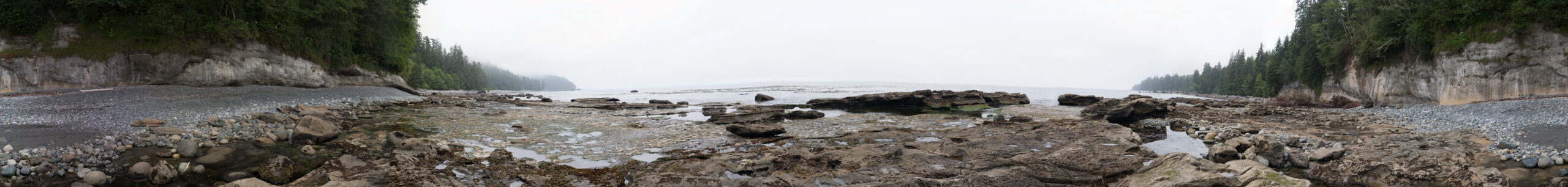 Stitched image of JuandeFuca park in Vancouver used in the 360 room